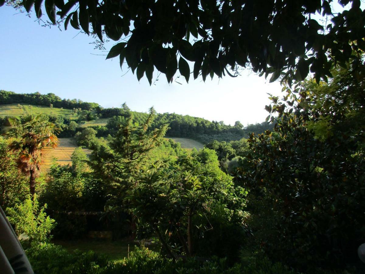 B&B Carboni Penna San Giovanni Экстерьер фото