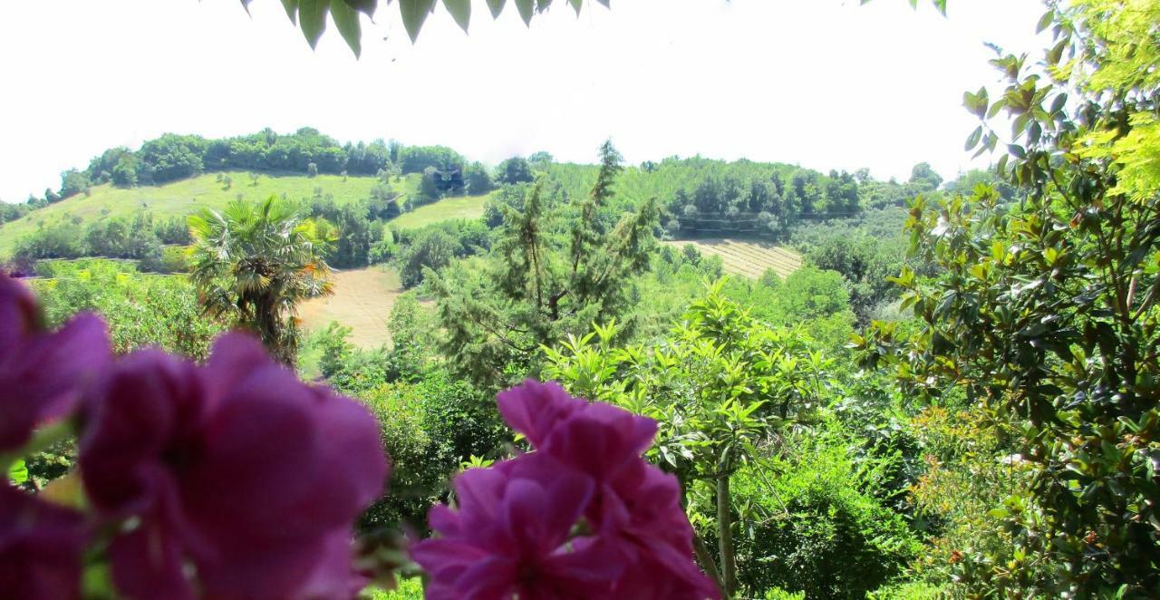 B&B Carboni Penna San Giovanni Экстерьер фото
