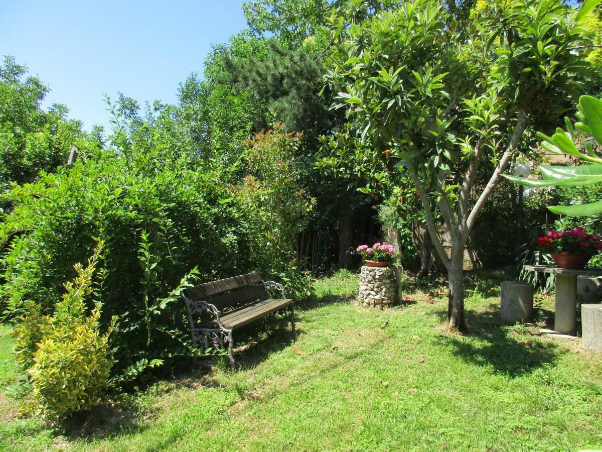 B&B Carboni Penna San Giovanni Экстерьер фото