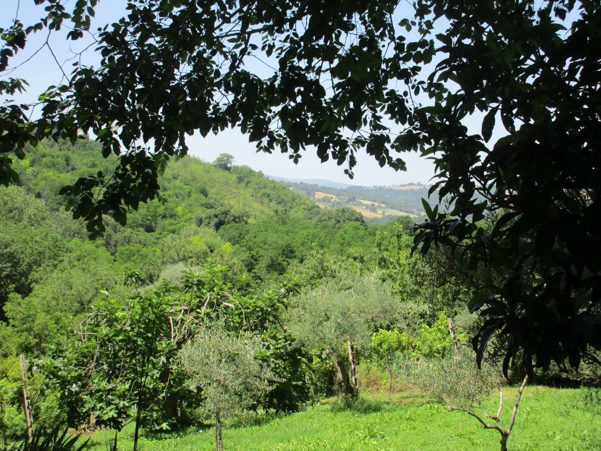 B&B Carboni Penna San Giovanni Экстерьер фото