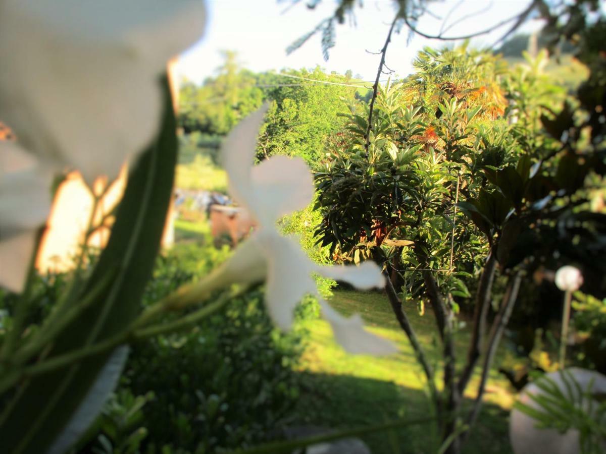 B&B Carboni Penna San Giovanni Экстерьер фото