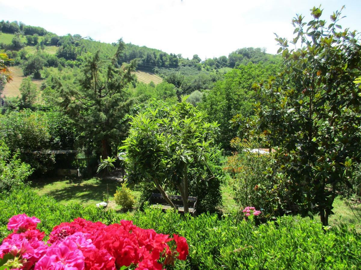 B&B Carboni Penna San Giovanni Экстерьер фото
