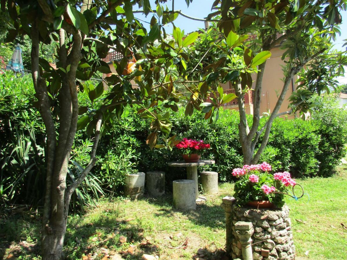 B&B Carboni Penna San Giovanni Экстерьер фото